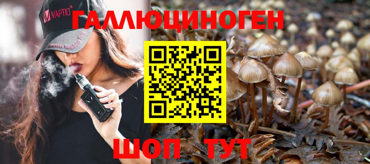 Галлюциногенные грибы GOLDEN TEACHER Барнаул